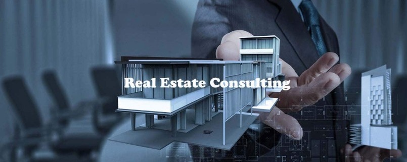 real estate consultant